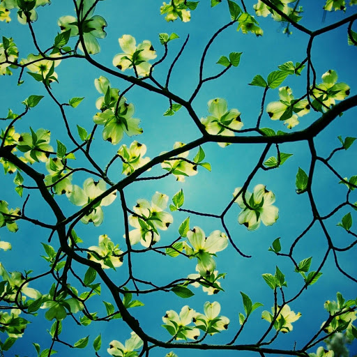 Hd-143617-ascw143617