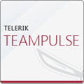 What’s new in TeamPulse - Full Project Oversight with the New TeamPulse xView