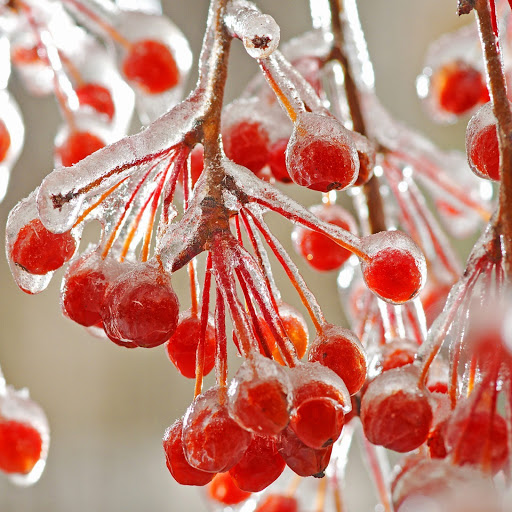 Hd-143386-ascw143386