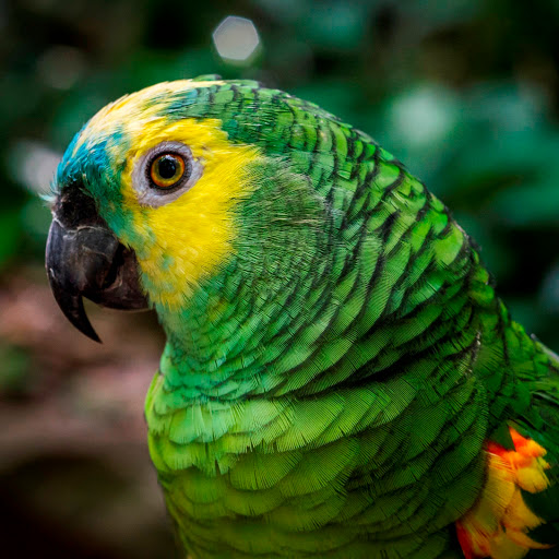 Hd-186019-ascw186019