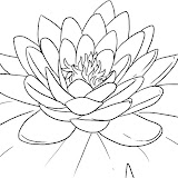 how-to-draw-a-lotus-flower%252C-water-lily-step-5.jpg