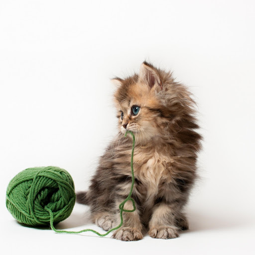 Hd-177536-ascw177536