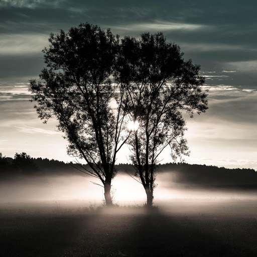 Hd-133696-ascw133696