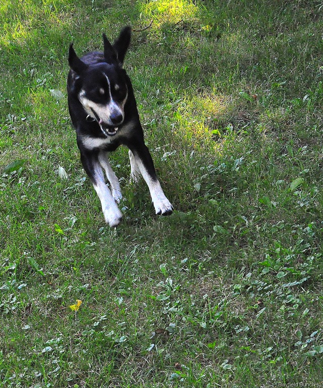 [DSC_0027%255B4%255D.jpg]