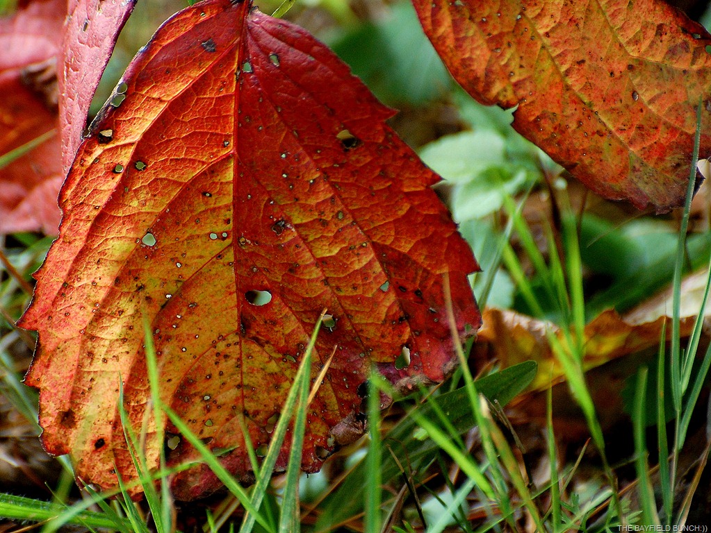 [DSC_7032%255B4%255D.jpg]