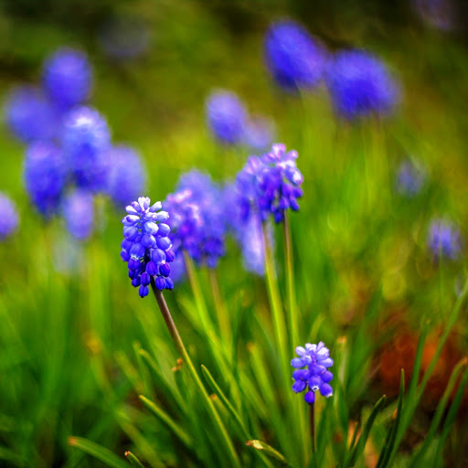 Hd-142642-ascw142642