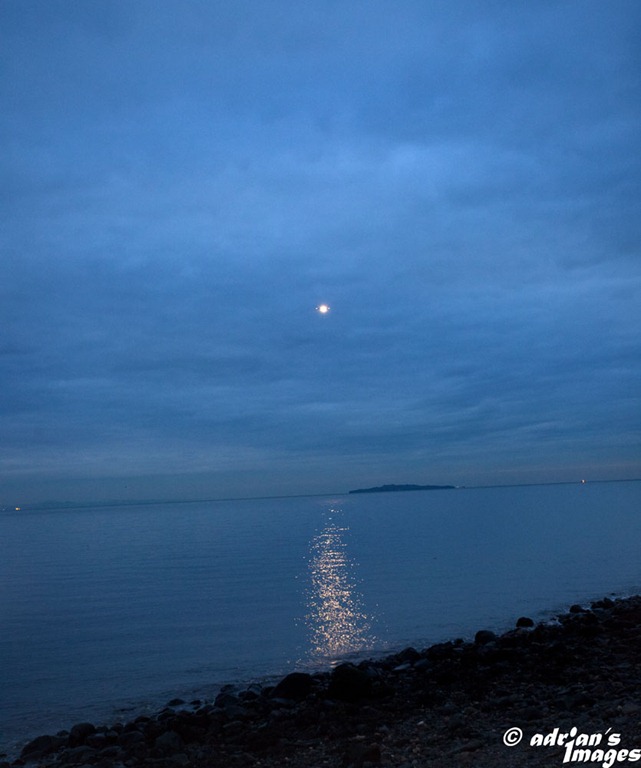 [IMG_0004_edited-1%255B4%255D.jpg]