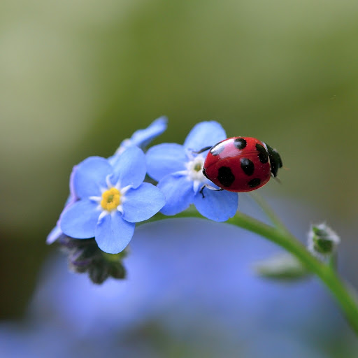 Hd-164501-ascw164501