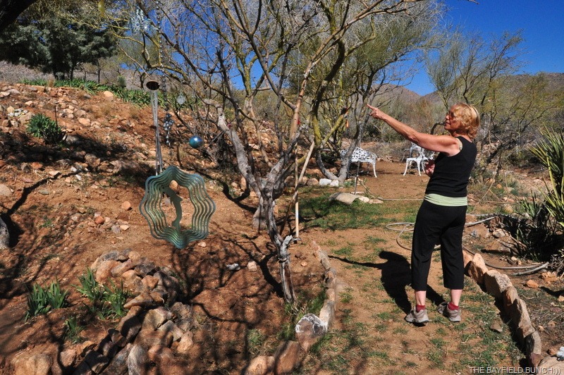 [DSC_0015%255B4%255D.jpg]