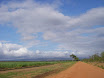 Austr_513_12.11.2007.JPG