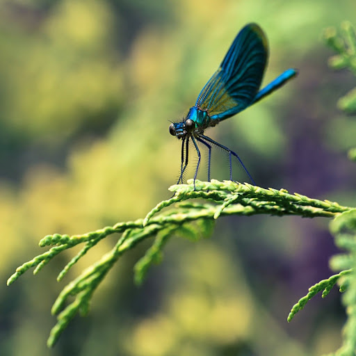 Hd-143886-ascw143886