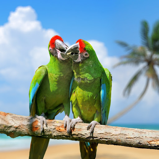 Hd-183298-ascw183298