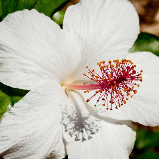 Hd-142383-ascw142383