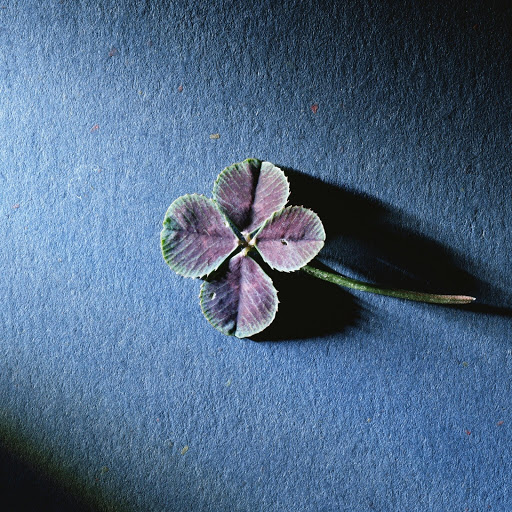 Hd-132264-ascw132264