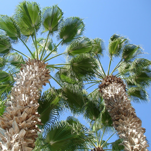 Hd-162205-ascw162205