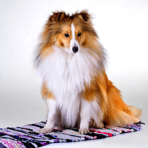 Hd-141547-ascw141547