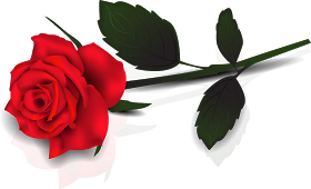 flor%2525208-.png