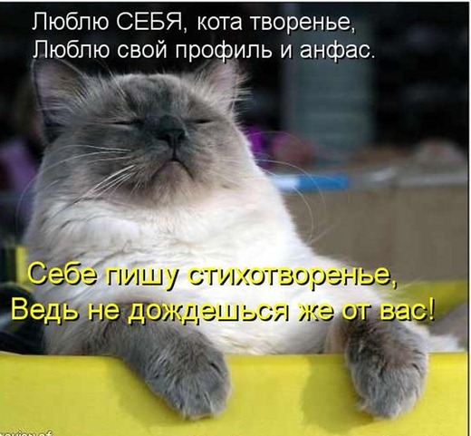 [kotomatrix_18%255B3%255D.jpg]