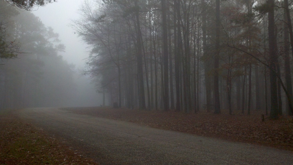 [111202%2520Hickory%2520Knob%2520Campground%2520Fog%2520From%2520Phone%2520%25284%2529%255B3%255D.jpg]