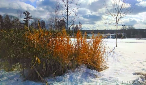 3-10-14 Mere Point Boat Launch in Winter-a