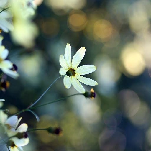 Hd-165235-ascw165235