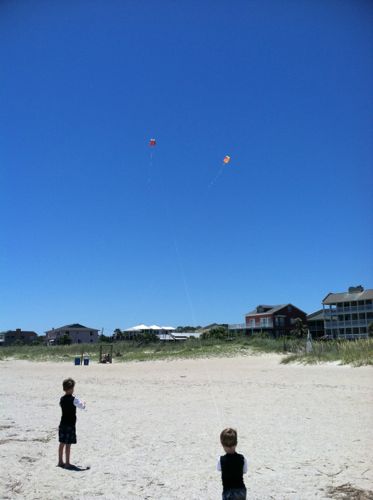 Beach+kite+Ash+Ace