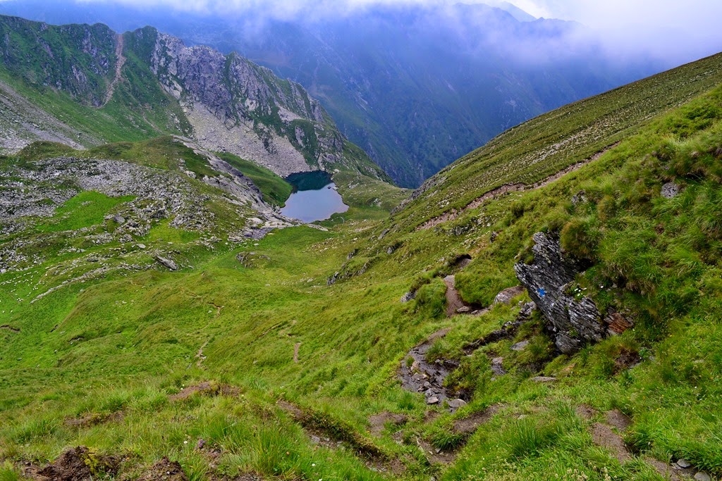 [DSC_38293.jpg]