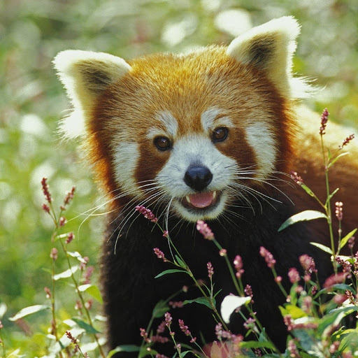 Hd-180133-ascw180133