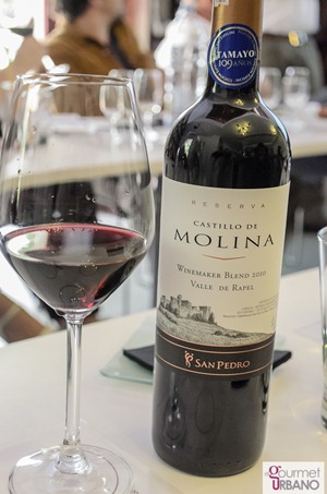 Castillo-de-Molina-WineMaker-Blend-(9-de-14)