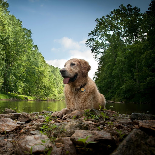 Hd-167469-ascw167469