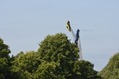 2013-GoodWood-FoS-6