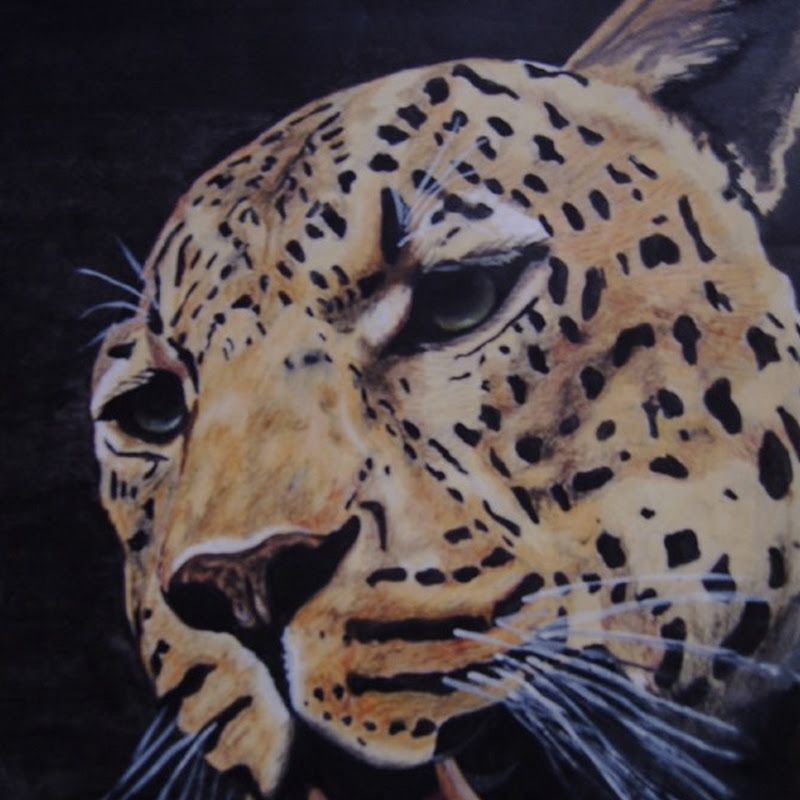 8 Beautiful Wildlife Paintings from Featured Artists
