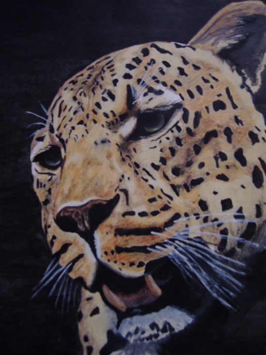 tracey snyman leopard painting