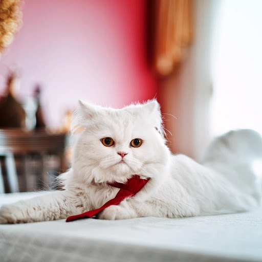 Hd-147519-ascw147519