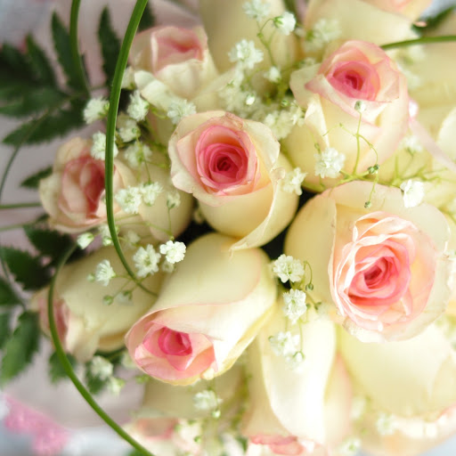 Hd-161979-ascw161979