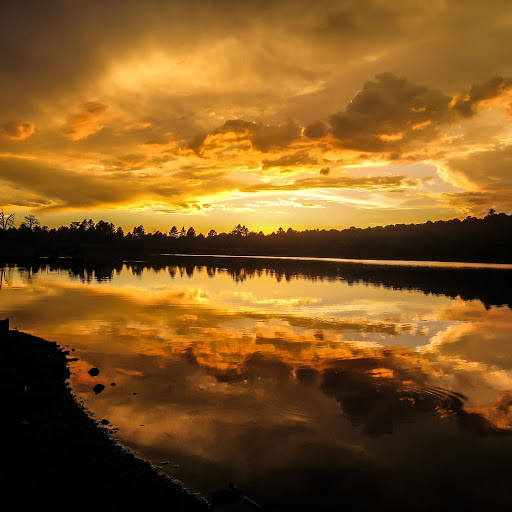 Hd-156973-ascw156973