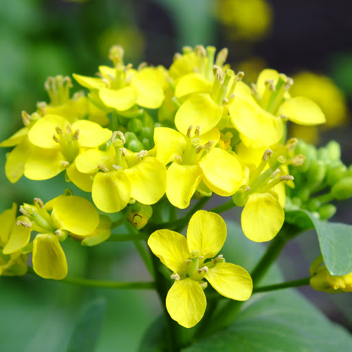 Hd-166143-ascw166143