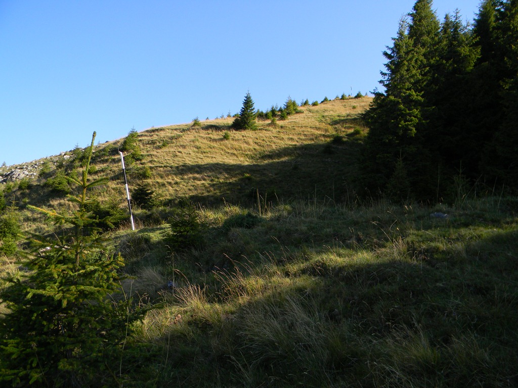 [DSCN11473.jpg]