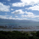 South Island - Kaikoura