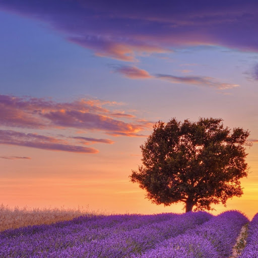 Hd-143940-ascw143940