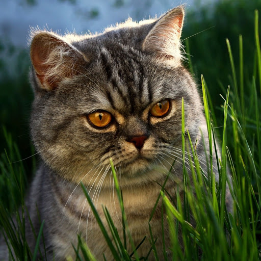 Hd-149964-ascw149964