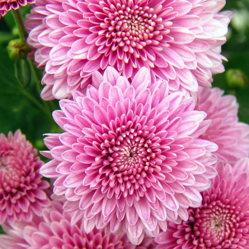 Hd-177689-ascw177689