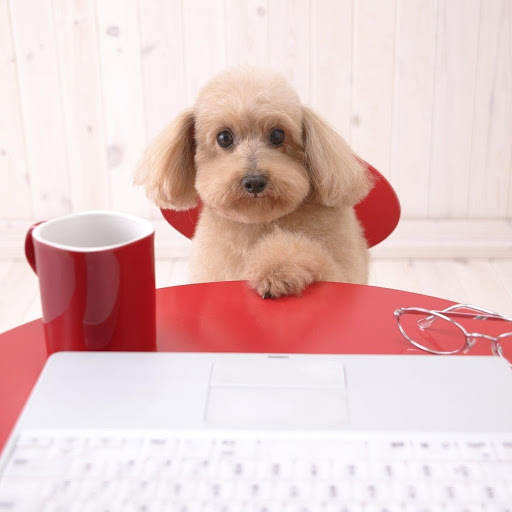 Hd-134935-ascw134935