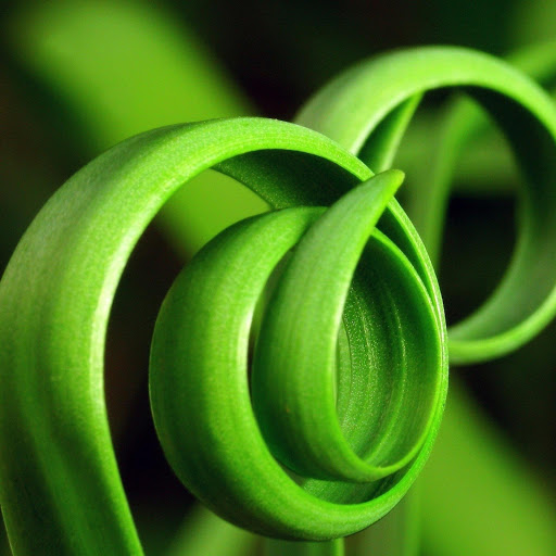 Hd-171307-ascw171307