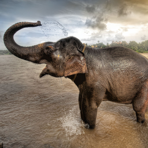 Hd-134618-ascw134618