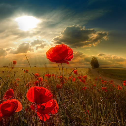 Hd-168592-ascw168592