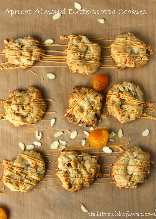 [Apricot-Almond-Butterscotch-Cookies-1%255B6%255D.jpg]
