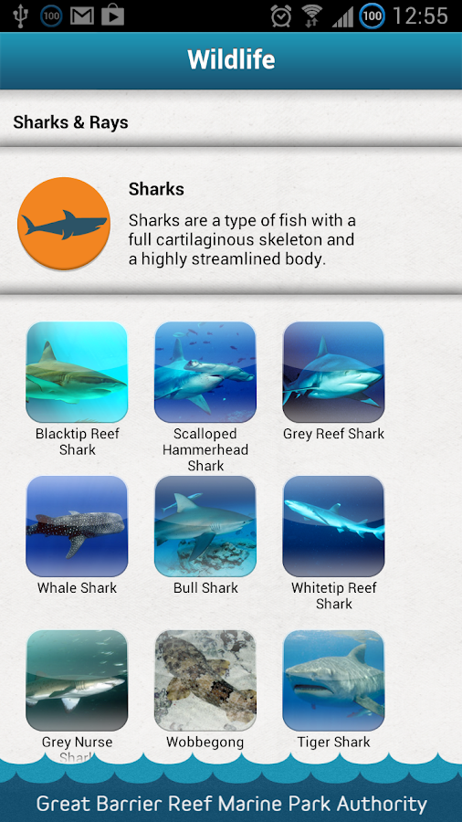   Eye on the Reef- tangkapan skrin 