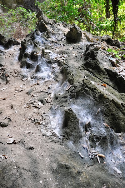 DSC_0646.JPG