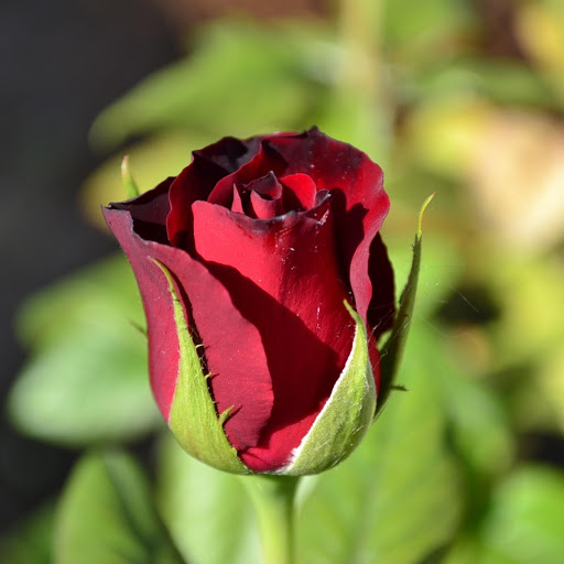 Hd-171253-ascw171253